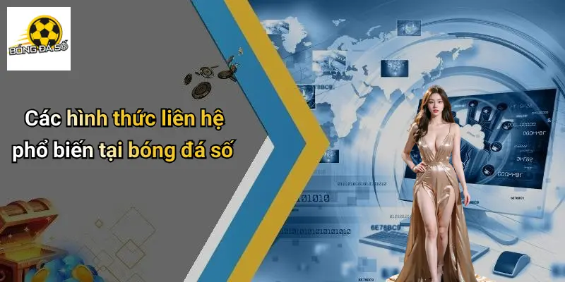 Liên Hệ