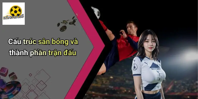 Luật Cơ Bản Trong Bóng Đá: Phôi Thai Của Mọi Trận Đấu 1 Luật Cơ Bản Trong Bóng Đá