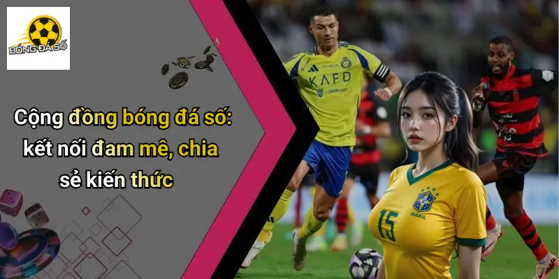 Bóng Đá Số