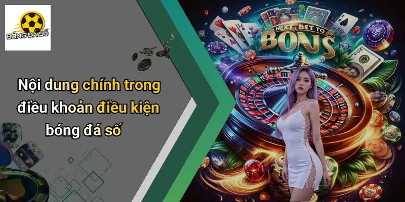 Điều Khoản Điều Kiện