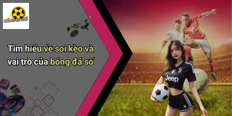 soi kèo 1 Soi Kèo