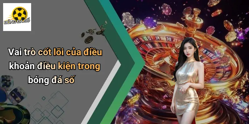 Điều Khoản Điều Kiện