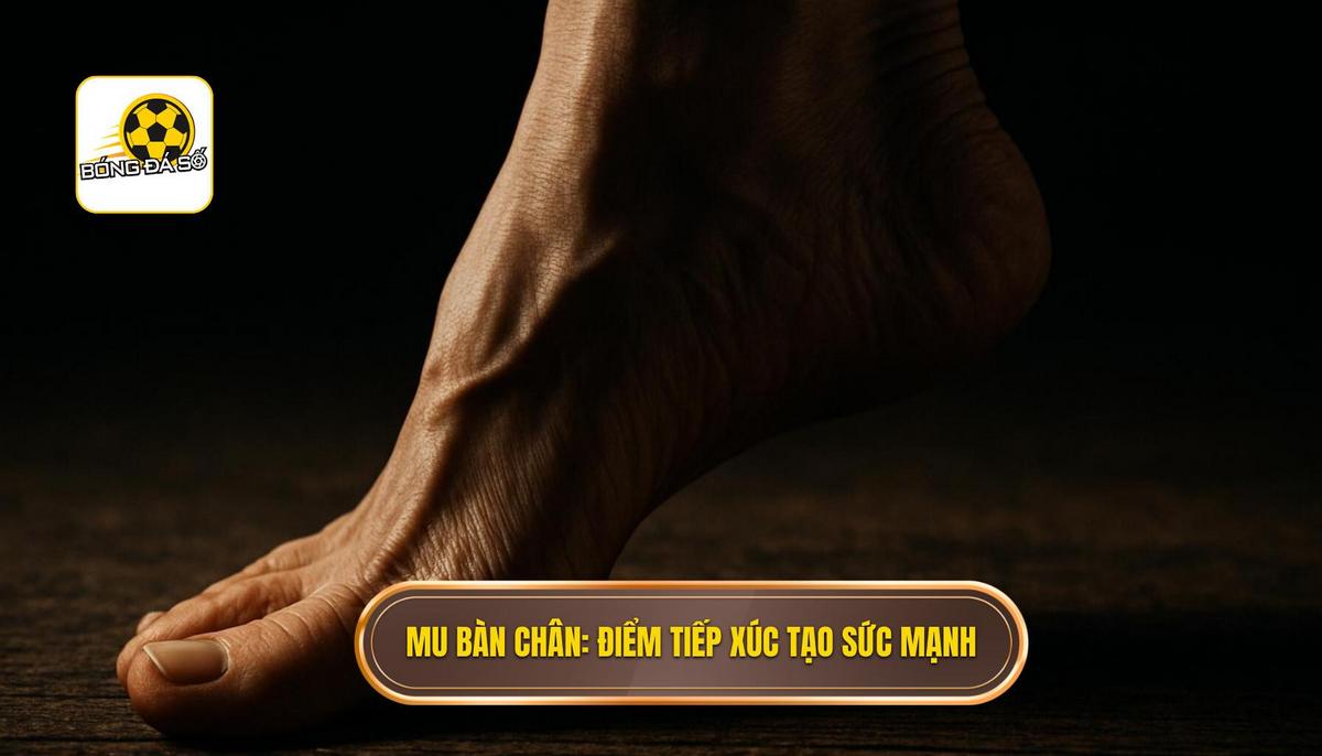 Mu bàn chân_ Điểm tiếp xúc vàng tạo ra sức mạnh tối đa