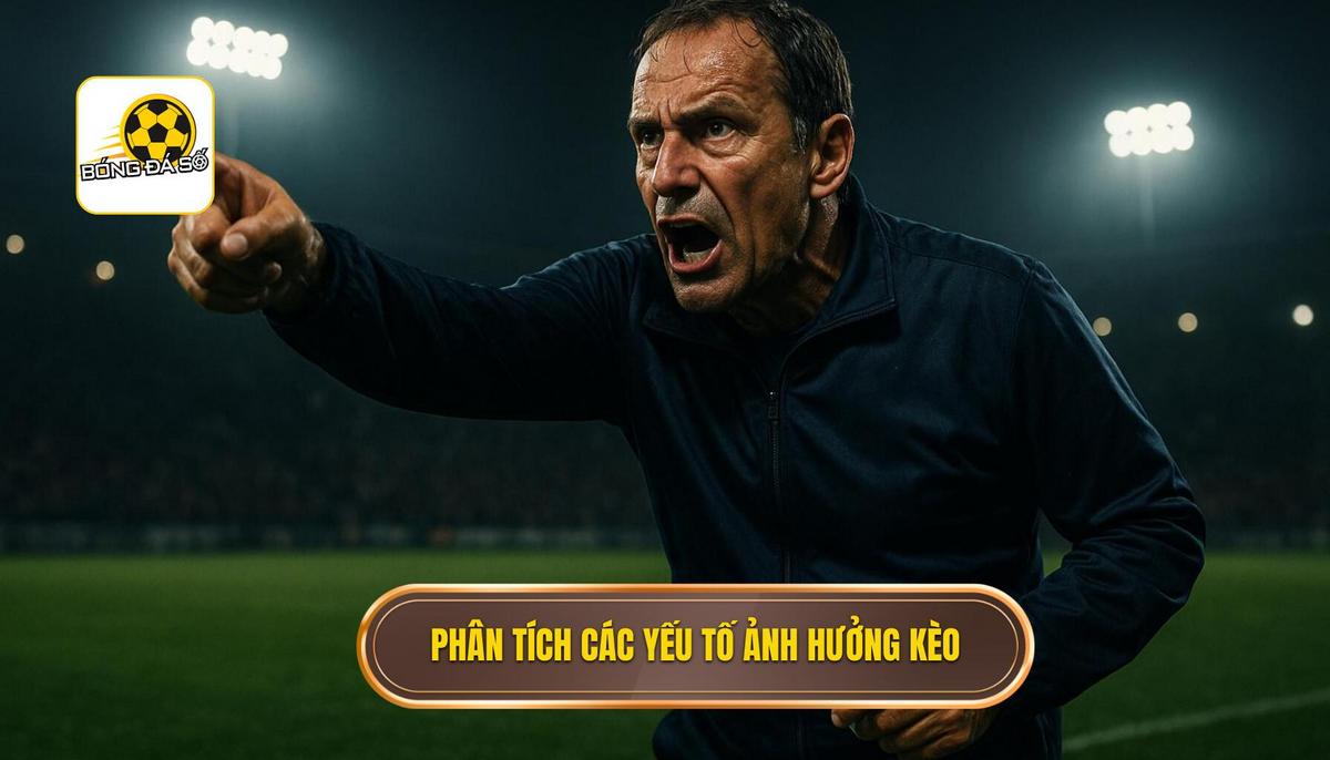 Phân Tích Chuyên Sâu Các Yếu Tố Ảnh Hưởng Đến Kèo