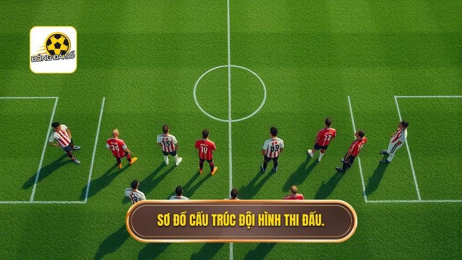 2. Cấu trúc đội hình và vai trò của từng vị trí