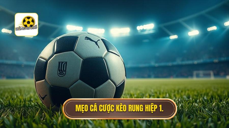 3. Các mẹo cá cược kèo rung hiệp 1 hiệu quả từ chuyên gia