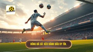 Kèo cược đội ghi bàn từ tình huống đánh đầu - Bí kíp soi kèo từ chuyên gia
