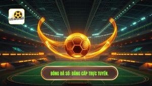 Bóng Đá Số Trực Tuyến: Cập Nhật Kết Quả, Tỷ Lệ Kèo & Tin Tức 24/7