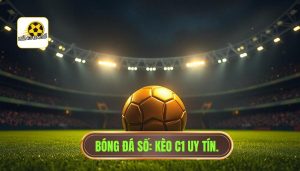 Bóng Đá Số C1 Hôm Nay: Nhận Định, Kèo Nhà Cái & Lịch Thi Đấu