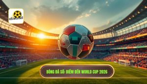 World Cup 2026 tổ chức ở đâu